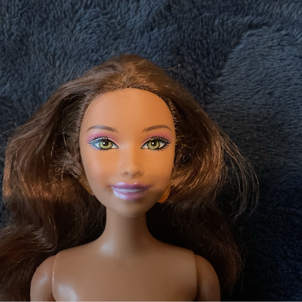 Barbie Brown Hair Doll with Accessories